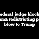 Federal judge blocks Alabama redistricting plan in blow to Trump