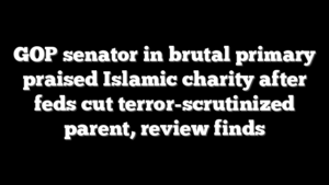 GOP senator in brutal primary praised Islamic charity after feds cut terror-scrutinized parent, review finds