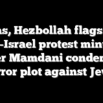 Hamas, Hezbollah flags fly at anti-Israel protest minutes after Mamdani condemns terror plot against Jews