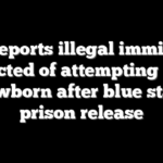 ICE deports illegal immigrant convicted of attempting to kill newborn after blue state prison release