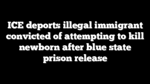 ICE deports illegal immigrant convicted of attempting to kill newborn after blue state prison release