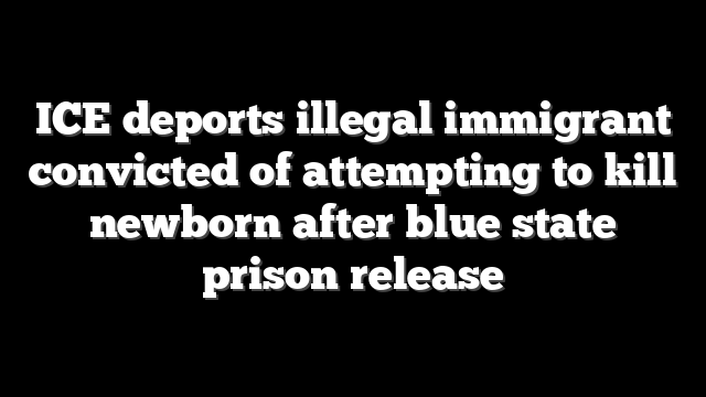 ICE deports illegal immigrant convicted of attempting to kill newborn after blue state prison release