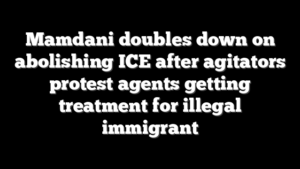 Mamdani doubles down on abolishing ICE after agitators protest agents getting treatment for illegal immigrant