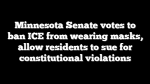 Minnesota Senate votes to ban ICE from wearing masks, allow residents to sue for constitutional violations