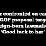 Omar confronted on camera over GOP proposal targeting foreign-born lawmakers: ‘Good luck to her’