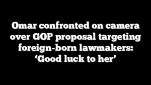 Omar confronted on camera over GOP proposal targeting foreign-born lawmakers: ‘Good luck to her’