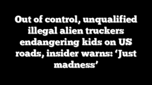 Out of control, unqualified illegal alien truckers endangering kids on US roads, insider warns: ‘Just madness’