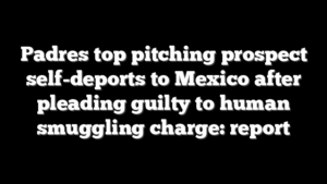 Padres top pitching prospect self-deports to Mexico after pleading guilty to human smuggling charge: report