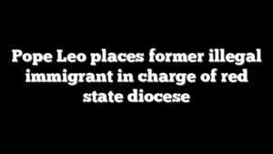 Pope Leo places former illegal immigrant in charge of red state diocese