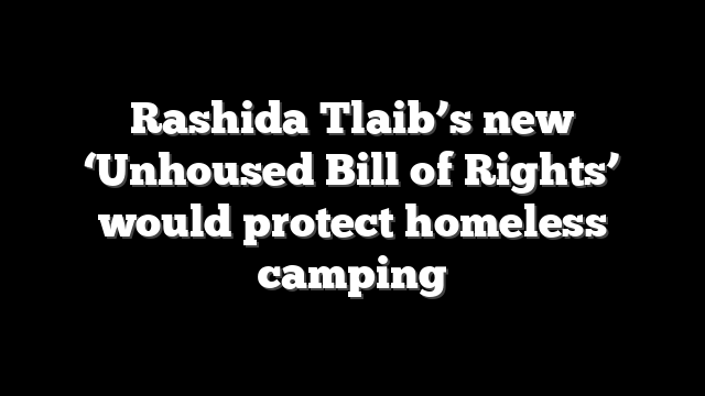 Rashida Tlaib’s new ‘Unhoused Bill of Rights’ would protect homeless camping