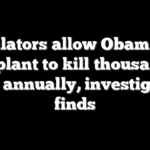 Regulators allow Obama-era solar plant to kill thousands of birds annually, investigation finds