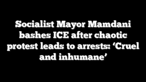 Socialist Mayor Mamdani bashes ICE after chaotic protest leads to arrests: ‘Cruel and inhumane’