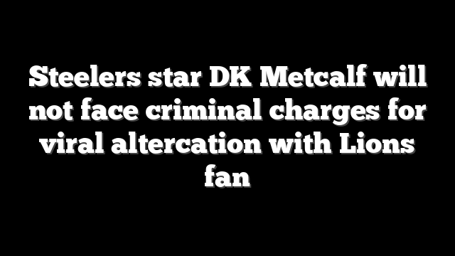 Steelers star DK Metcalf will not face criminal charges for viral altercation with Lions fan