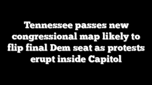 Tennessee passes new congressional map likely to flip final Dem seat as protests erupt inside Capitol