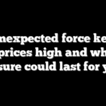 The unexpected force keeping beef prices high and why the pressure could last for years