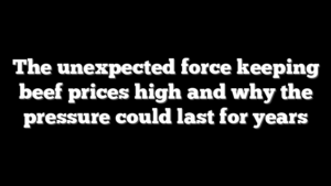The unexpected force keeping beef prices high and why the pressure could last for years