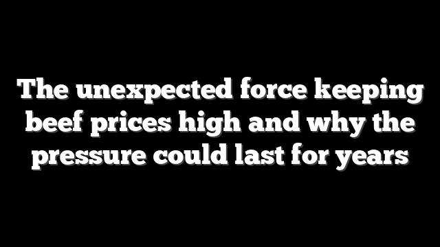 The unexpected force keeping beef prices high and why the pressure could last for years