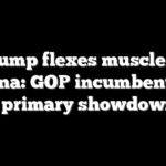 Trump flexes muscle in Indiana: GOP incumbents fall in primary showdowns
