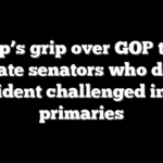 Trump’s grip over GOP tested as state senators who defied president challenged in key primaries