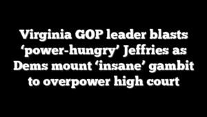 Virginia GOP leader blasts ‘power-hungry’ Jeffries as Dems mount ‘insane’ gambit to overpower high court