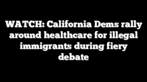 WATCH: California Dems rally around healthcare for illegal immigrants during fiery debate