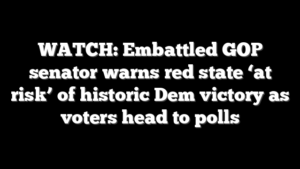 WATCH: Embattled GOP senator warns red state ‘at risk’ of historic Dem victory as voters head to polls