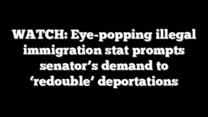 WATCH: Eye-popping illegal immigration stat prompts senator’s demand to ‘redouble’ deportations