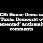 WATCH: House Dems unload on Texas Democrat over ‘demented’ antisemitic comments
