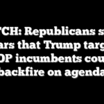WATCH: Republicans shrug off fears that Trump targeting GOP incumbents could backfire on agenda