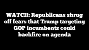 WATCH: Republicans shrug off fears that Trump targeting GOP incumbents could backfire on agenda