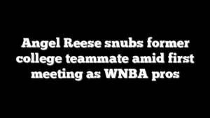 Angel Reese snubs former college teammate amid first meeting as WNBA pros