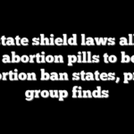 Blue state shield laws allowed 330K abortion pills to be sent to abortion ban states, pro-life group finds