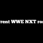 Current WWE NXT roster