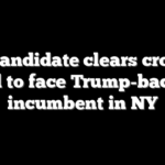 Dem candidate clears crowded field to face Trump-backed incumbent in NY