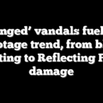 ‘Deranged’ vandals fuel Mall sabotage trend, from blood writing to Reflecting Pool damage