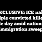 EXCLUSIVE: ICE nabs multiple convicted killers in single day amid nationwide immigration sweep