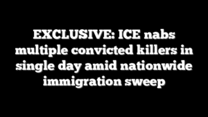 EXCLUSIVE: ICE nabs multiple convicted killers in single day amid nationwide immigration sweep