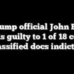 Ex-Trump official John Bolton pleads guilty to 1 of 18 counts in classified docs indictment