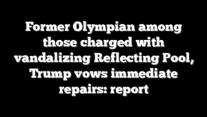 Former Olympian among those charged with vandalizing Reflecting Pool, Trump vows immediate repairs: report