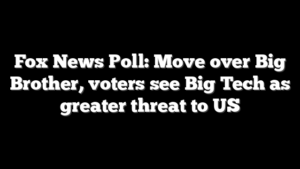 Fox News Poll: Move over Big Brother, voters see Big Tech as greater threat to US