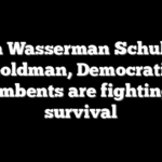 From Wasserman Schultz to Goldman, Democratic incumbents are fighting for survival