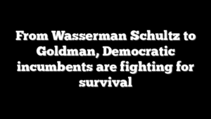 From Wasserman Schultz to Goldman, Democratic incumbents are fighting for survival