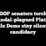 GOP senators torch scandal-plagued Platner while Dems stay silent on candidacy