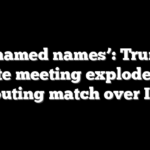 ‘He named names’: Trump’s Senate meeting explodes into shouting match over Iran