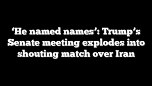 ‘He named names’: Trump’s Senate meeting explodes into shouting match over Iran