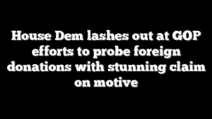House Dem lashes out at GOP efforts to probe foreign donations with stunning claim on motive