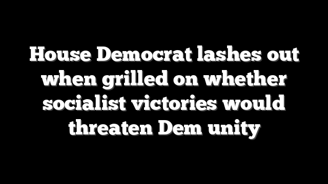 House Democrat lashes out when grilled on whether socialist victories would threaten Dem unity