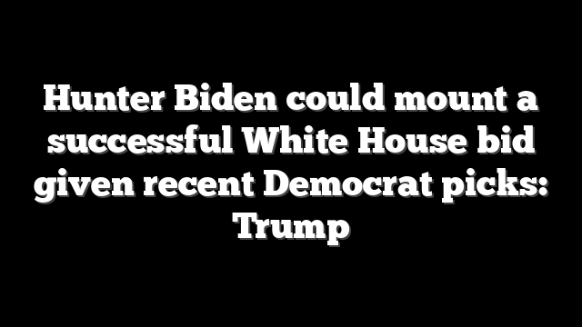 Hunter Biden could mount a successful White House bid given recent Democrat picks: Trump