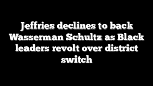 Jeffries declines to back Wasserman Schultz as Black leaders revolt over district switch