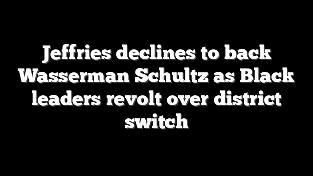 Jeffries declines to back Wasserman Schultz as Black leaders revolt over district switch